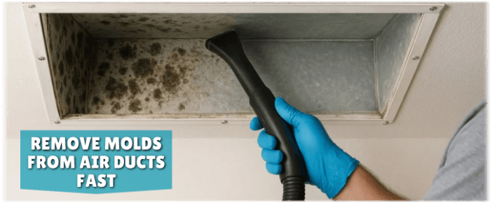 Air Duct Mold Removal in Cherry Hill